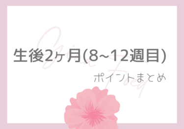 【ジーナ式】生後2ヶ月(8~12週目)  ポイントまとめ