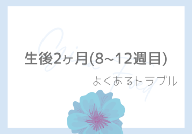 【ジーナ式】生後2ヶ月(8~12週目)  よくあるトラブル